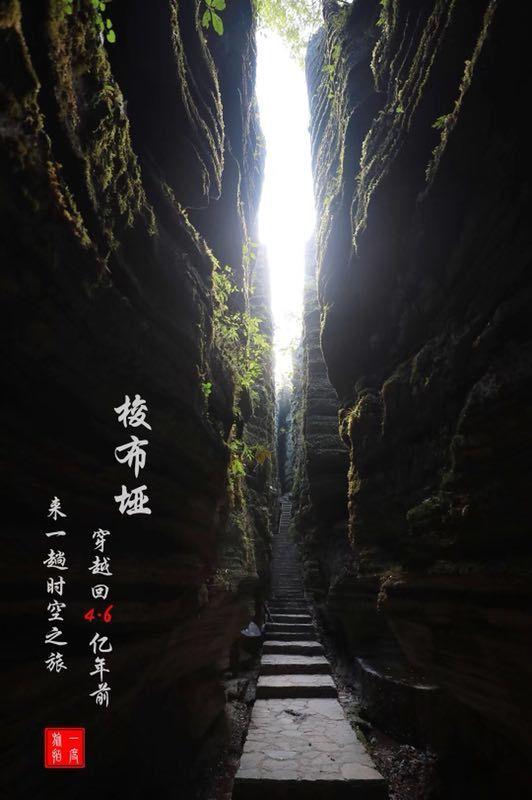 燃烧吧大脑装瓶子游戏