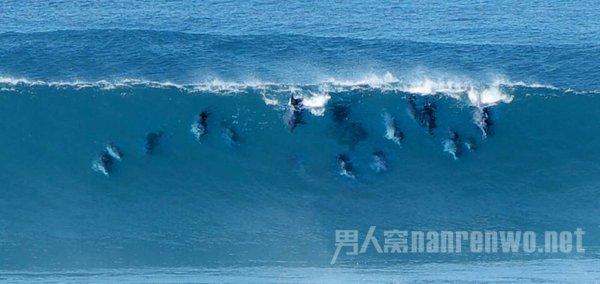 打假王海经营的生意经：无论是西梅汁或五常大米，都是他们烧热的菜