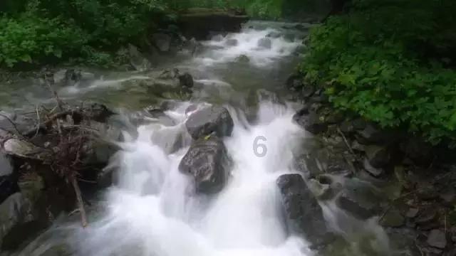 机智问答网页-智慧解答疑问-苹果手机根本没插过耳机,突然没声音,处于耳机模式专家在线答疑