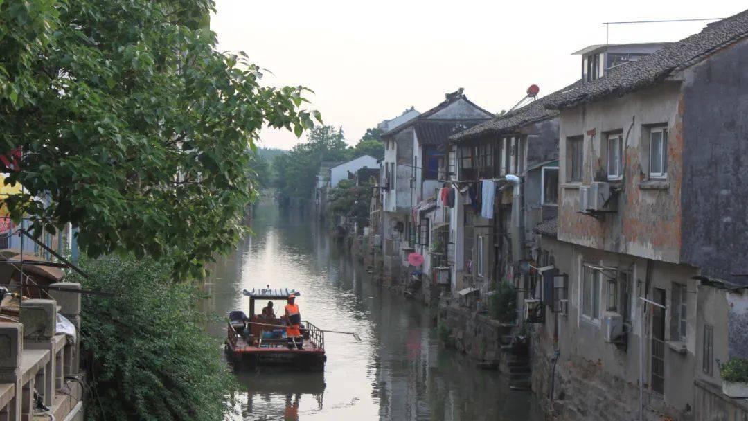 属龙几月命苦,正月龙多阻碍发展不顺